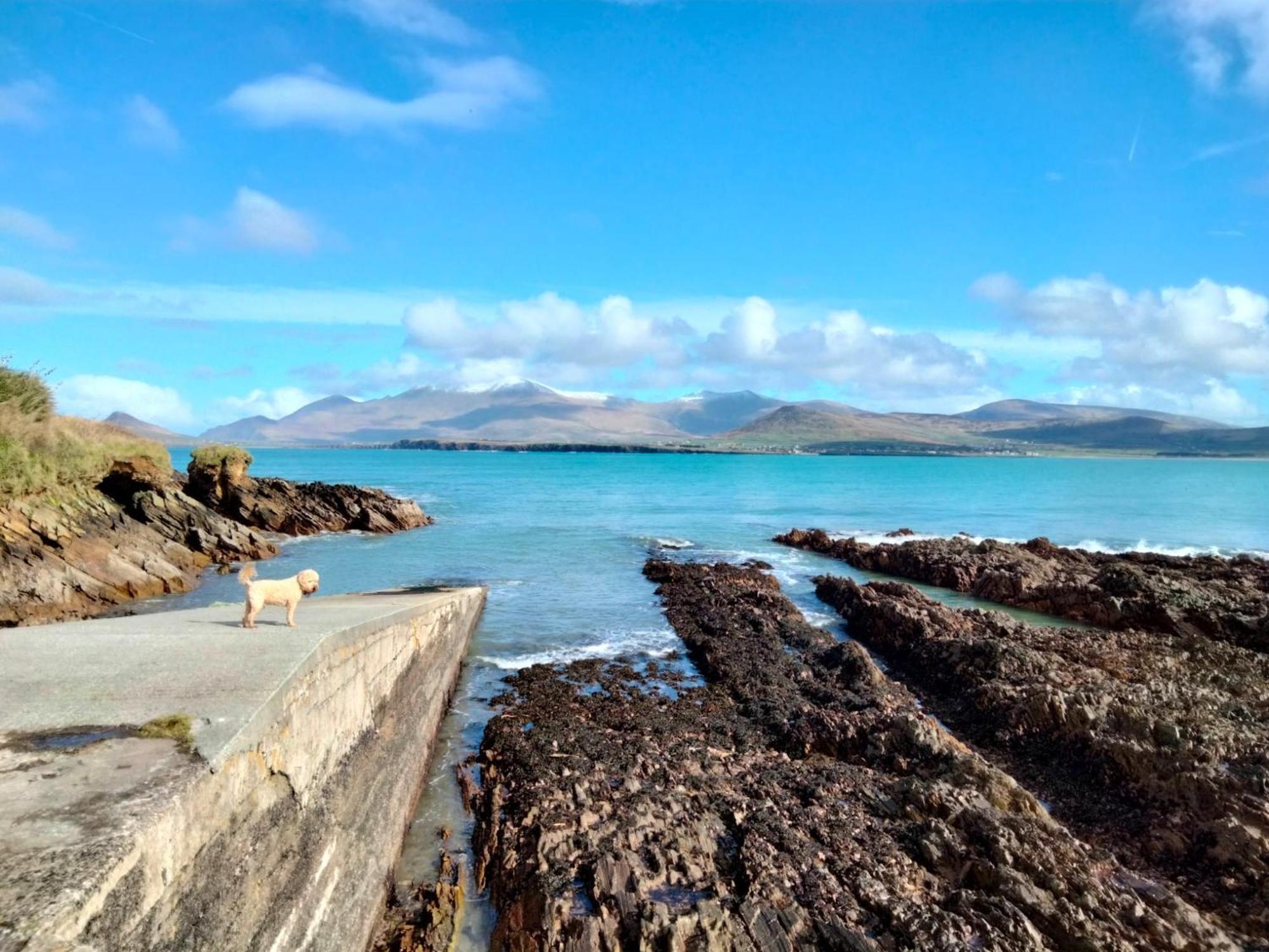 Murphy'S Guesthouse Dingle Exterior foto